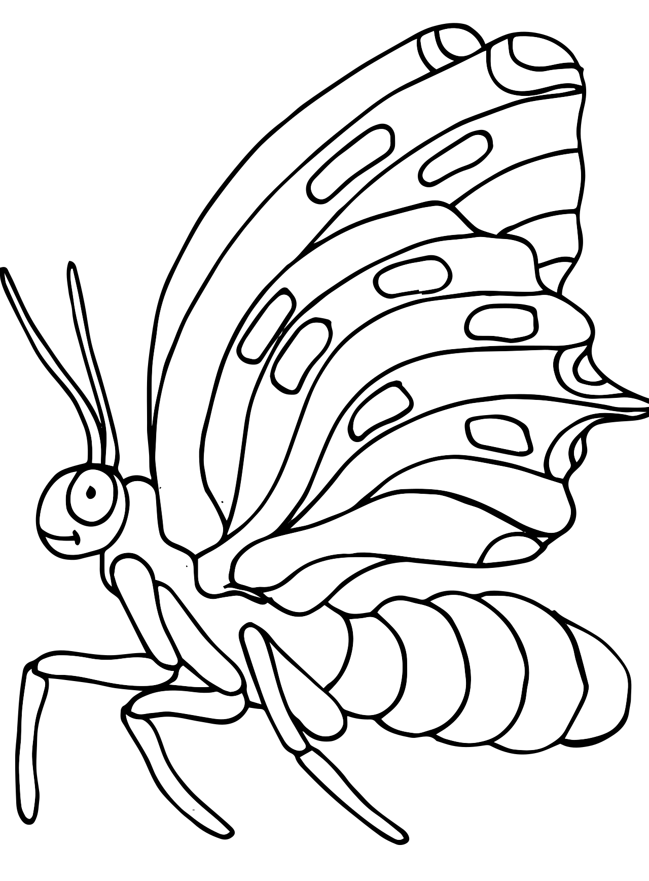 Раскраска насекомые бабочка