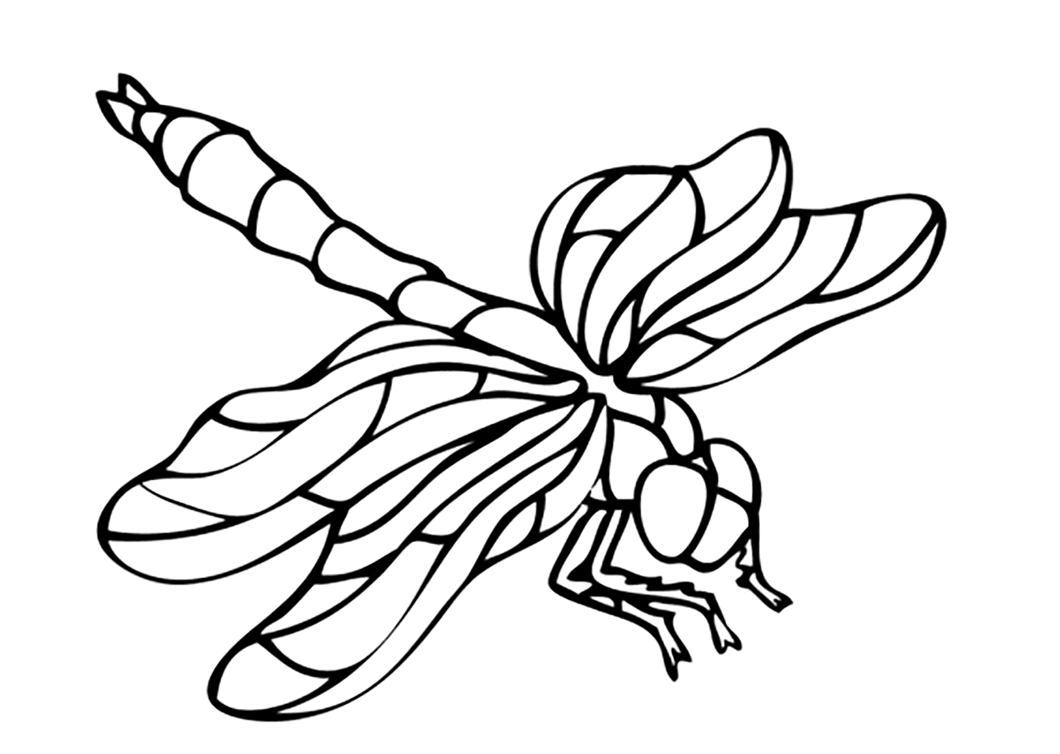 Рисунки насекомых для раскрашивания
