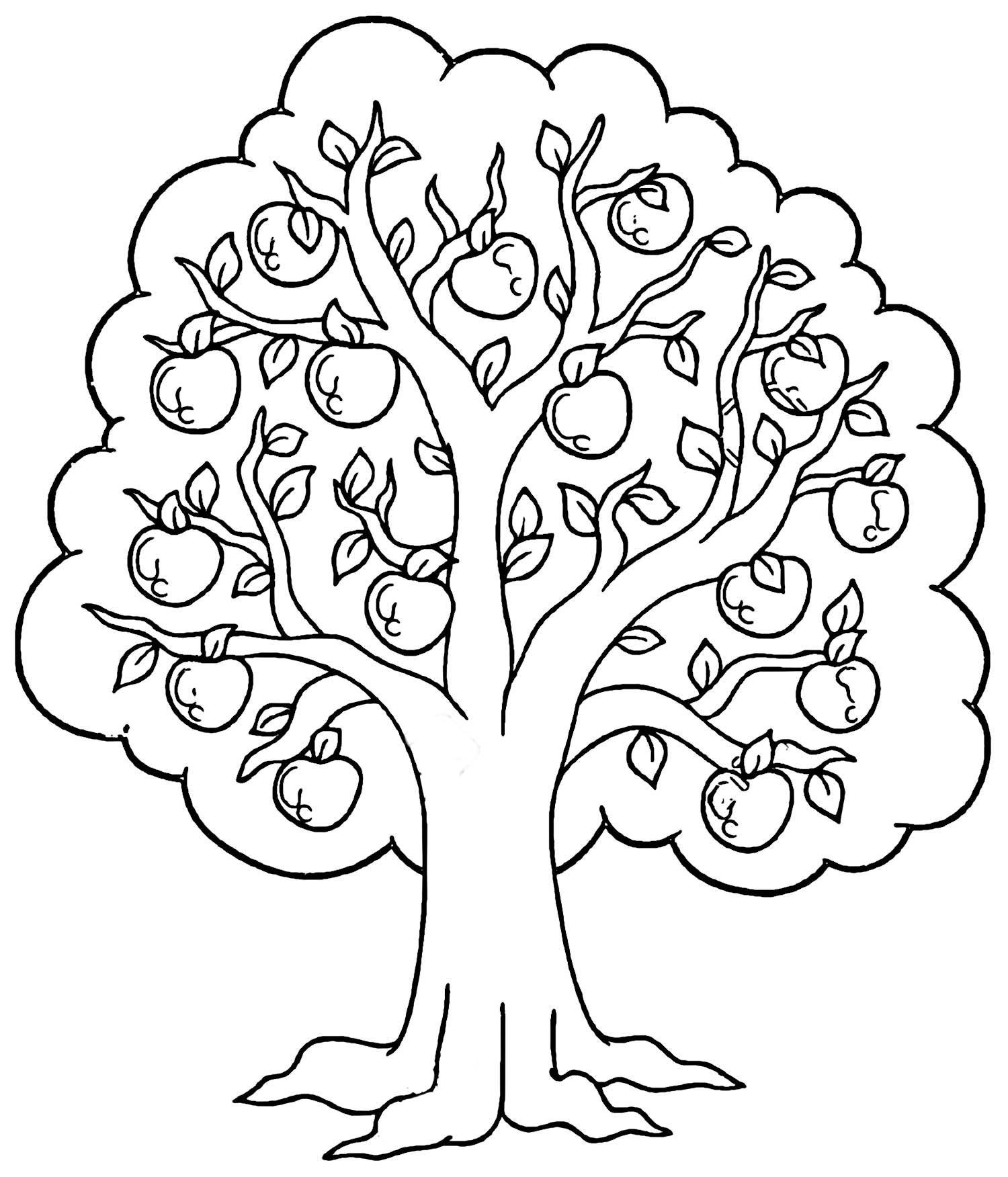 Дерево груша раскраска для детей