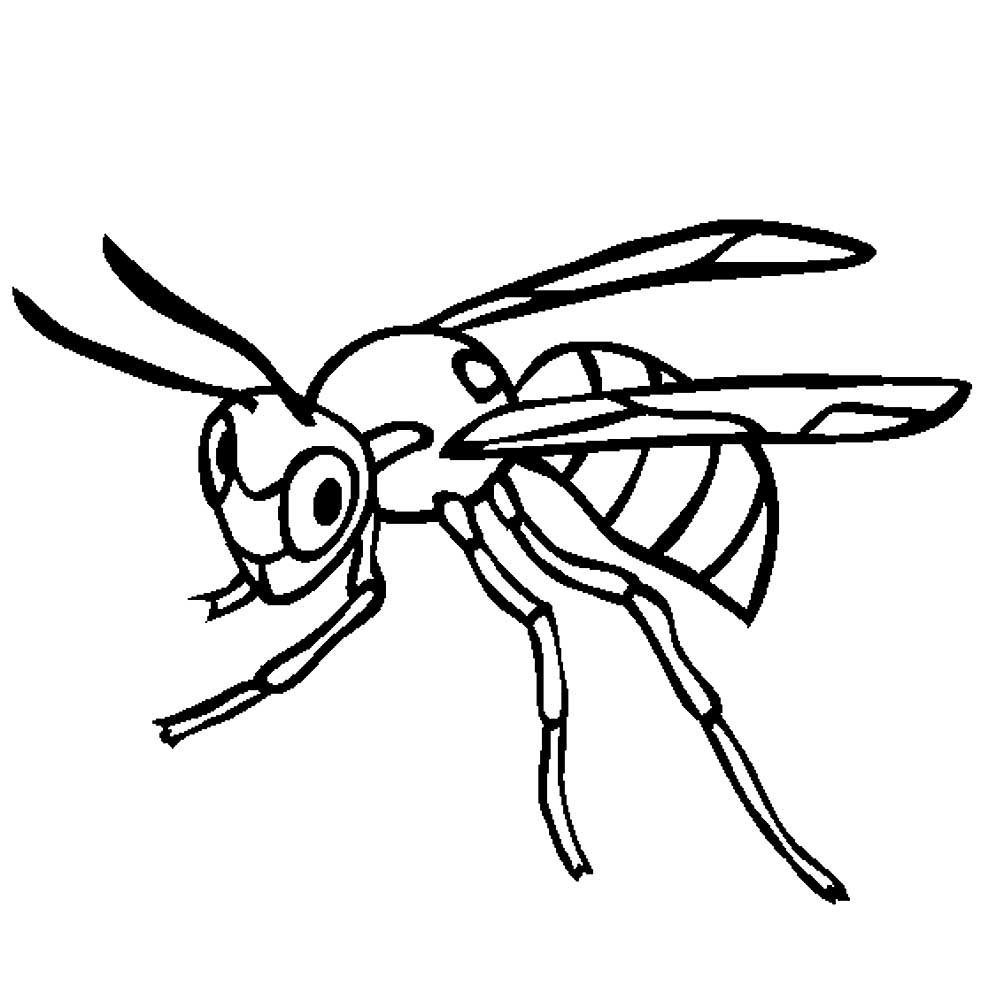 Раскраска насекомые пчела