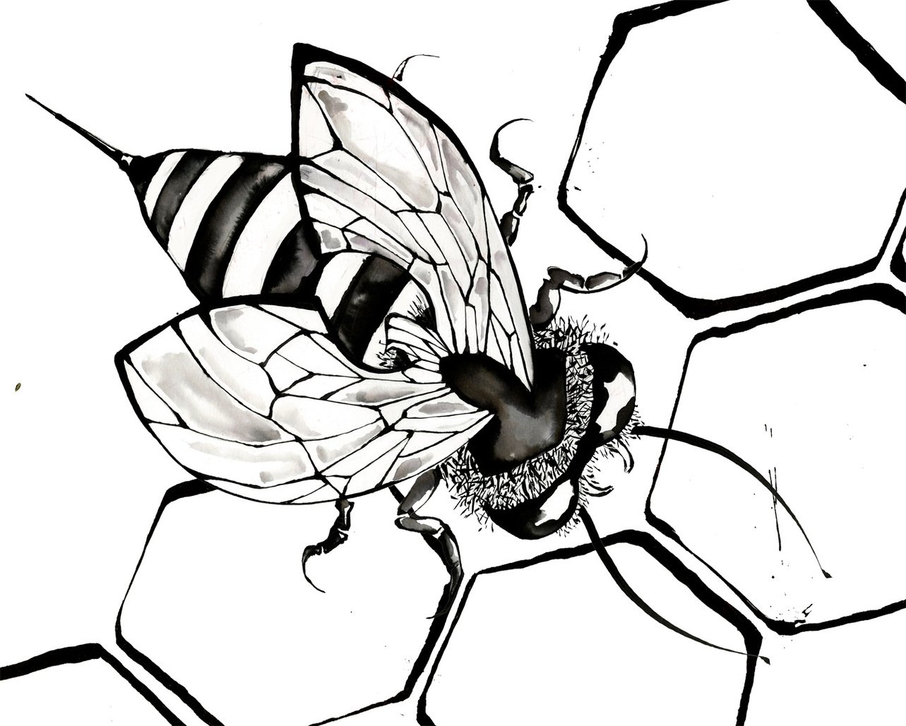 Пчела силуэт