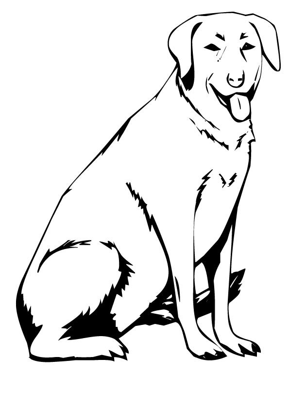 Лабрадор щенок раскраска