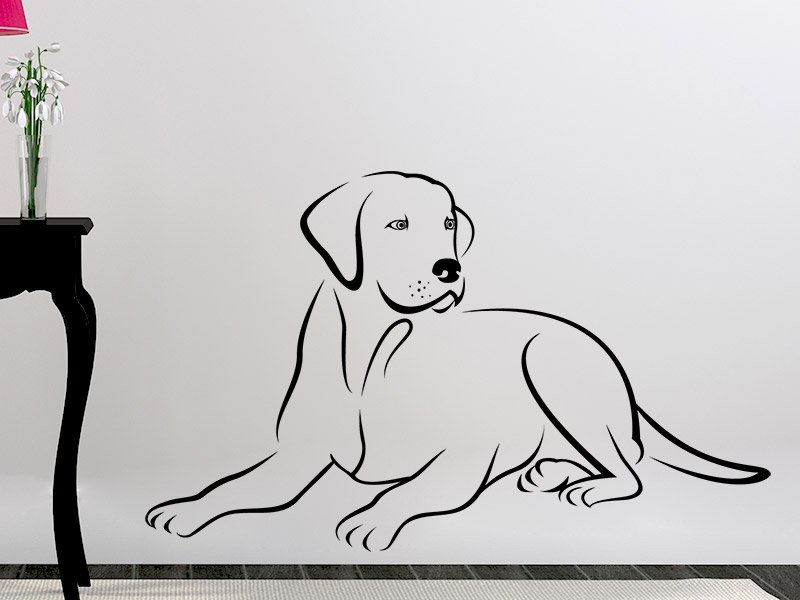 Собака в квартире рисунок