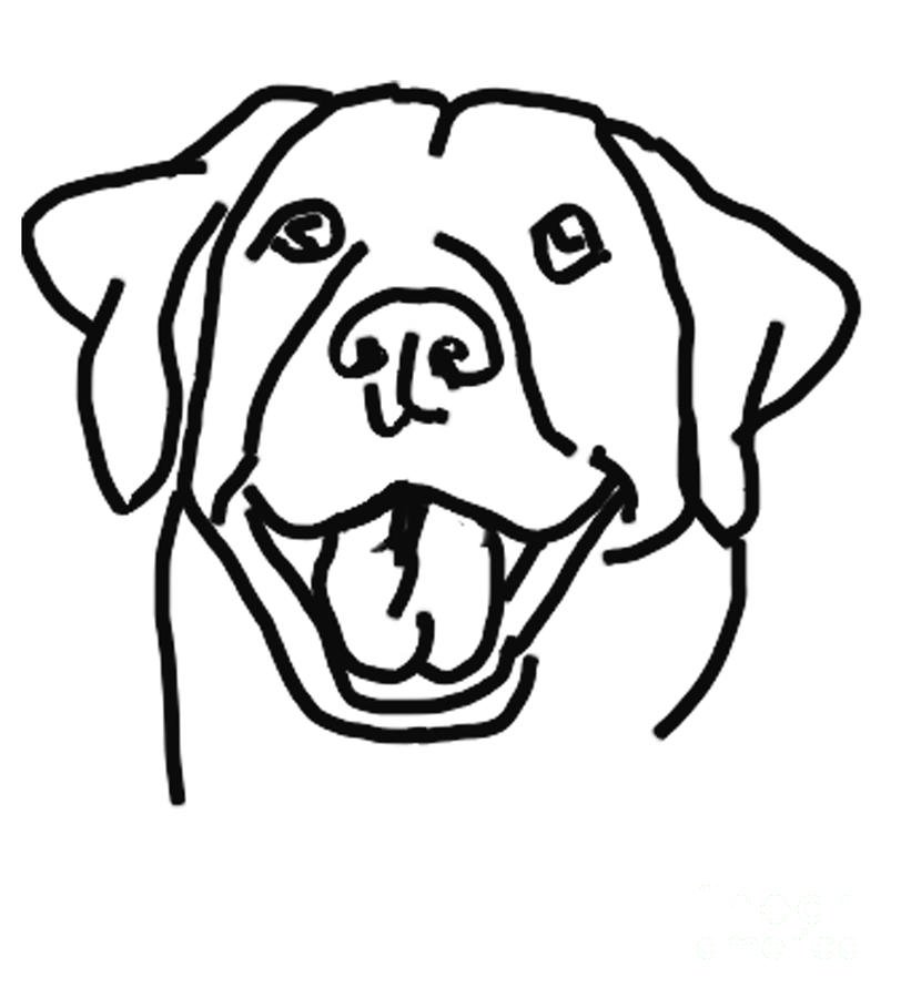 Раскраска собака лабрадор ретривер