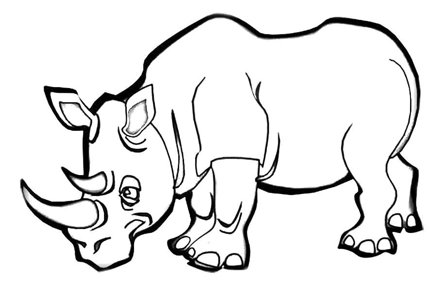 Носорог контур