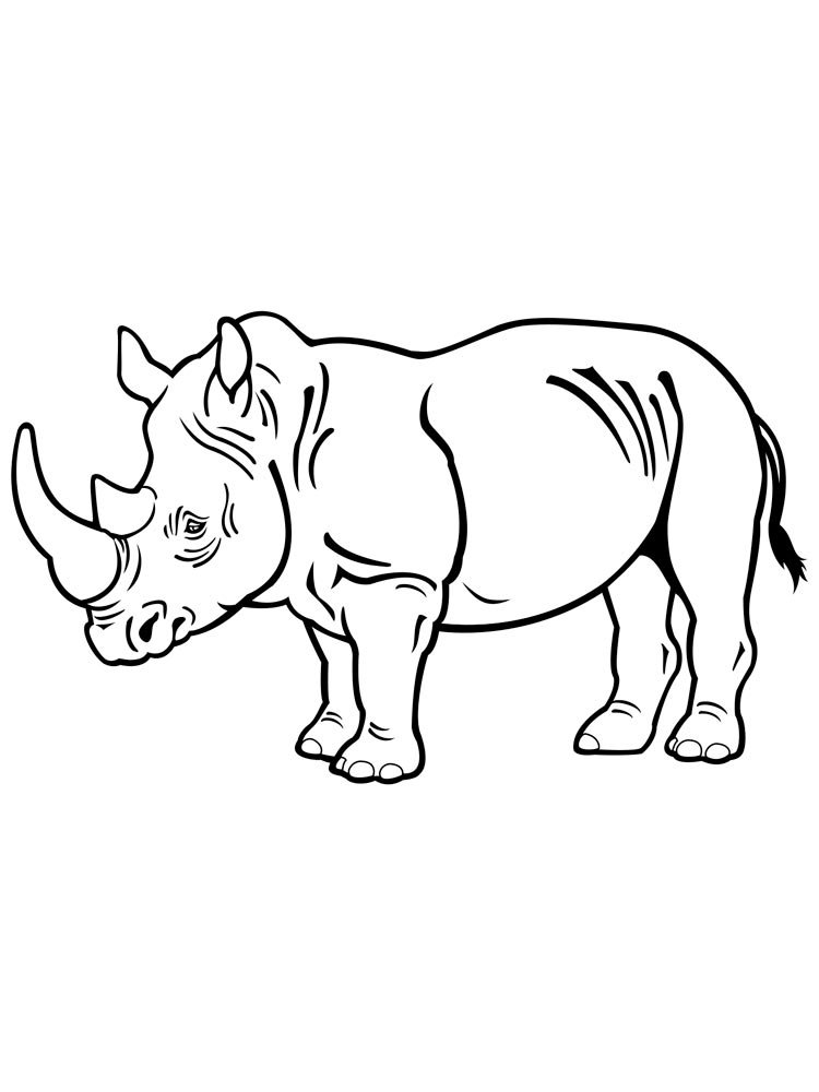 Детские раскраски носорог