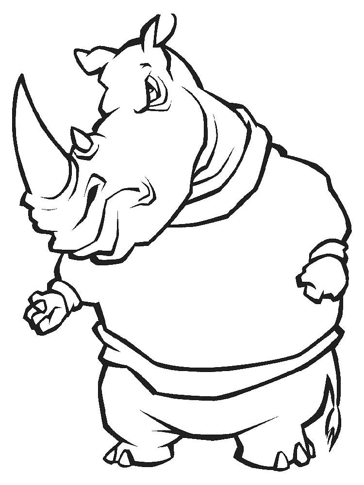 Носорог картинка раскраска
