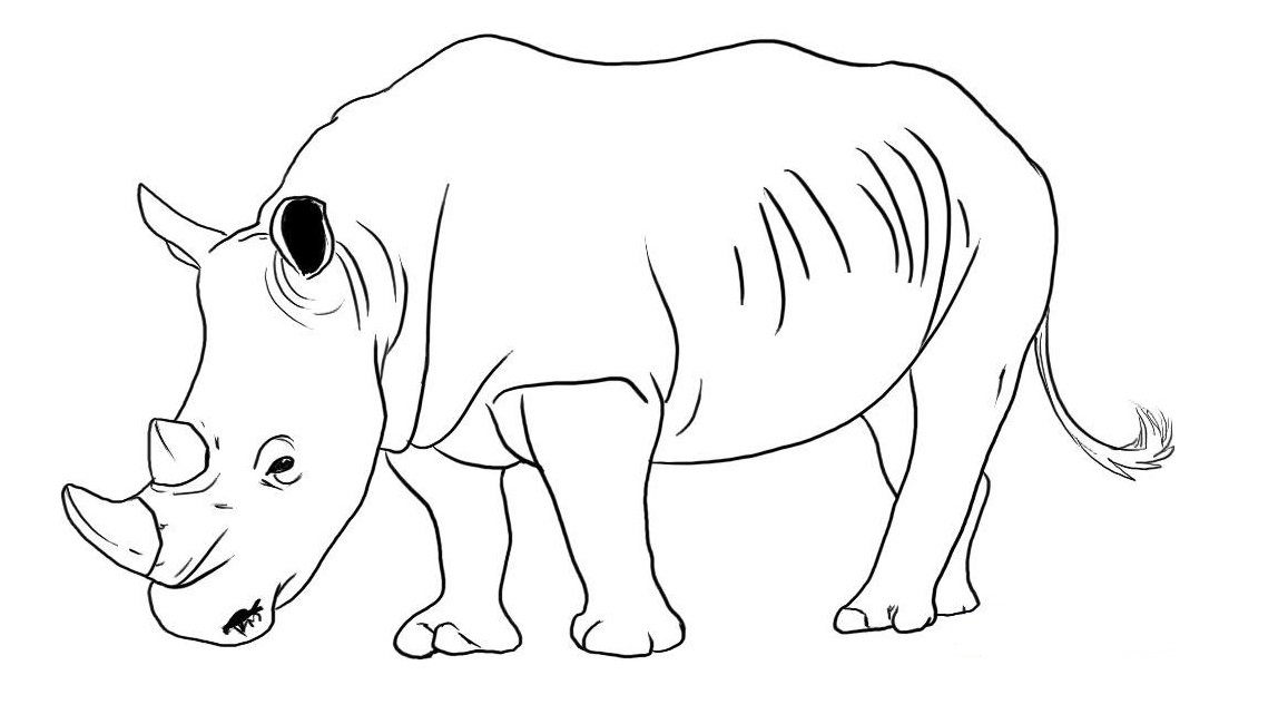 Носорог раскраска детская