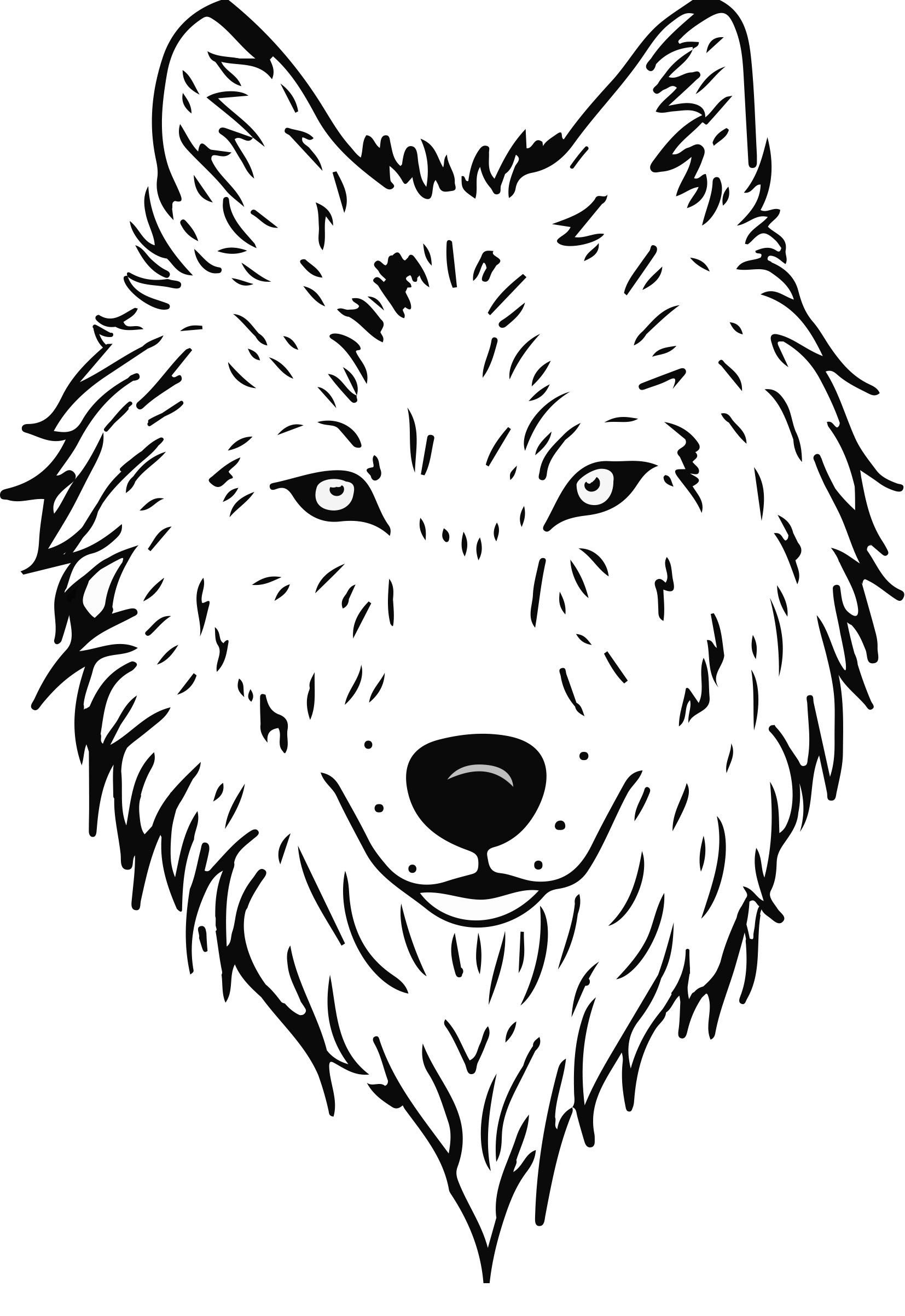 Полярный волк раскраска
