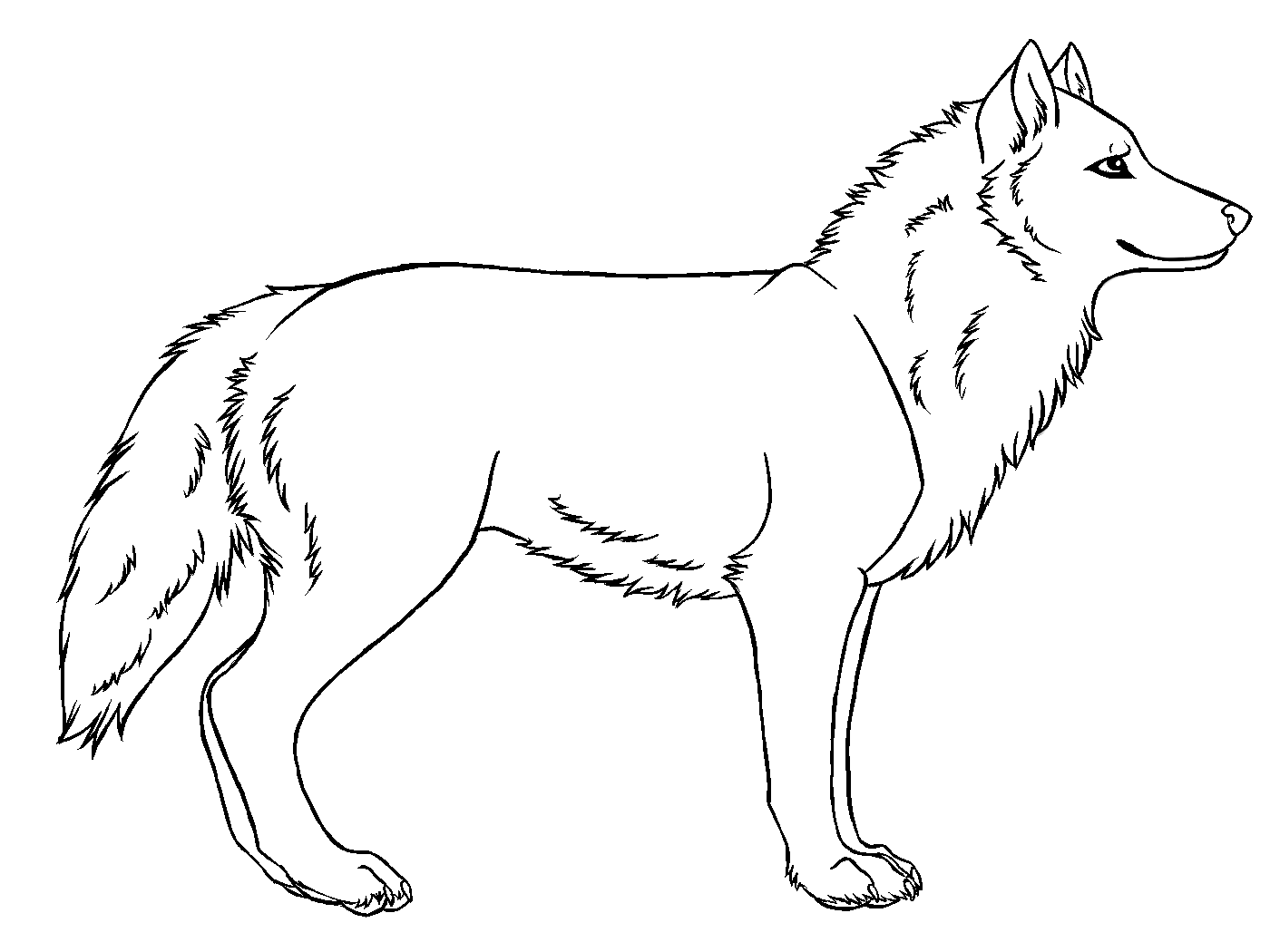 Волк картинка раскраска