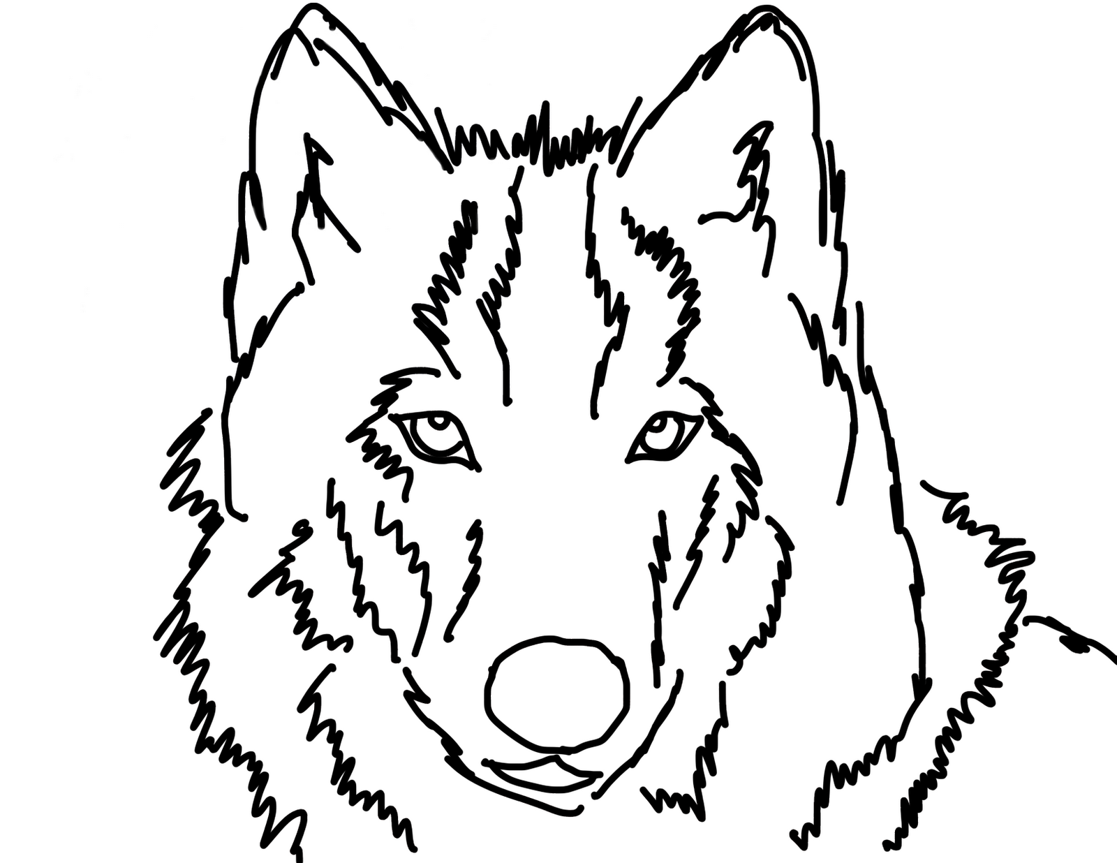Волк картинка раскраска