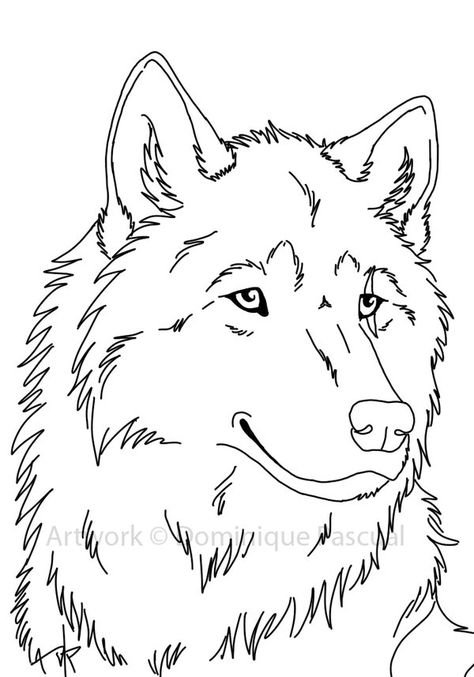Пошаговое рисование волка