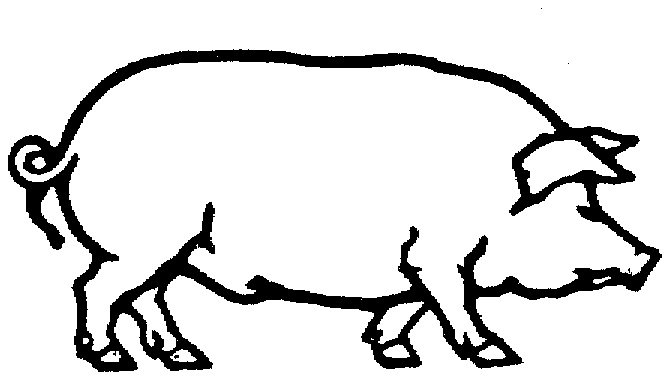 Контурное изображение свиньи