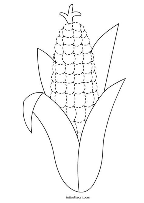 Столбики с рыльцами кукурузы рисунок
