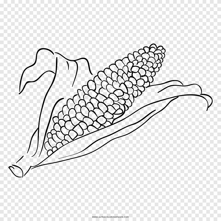 Нарисовать кукурузу