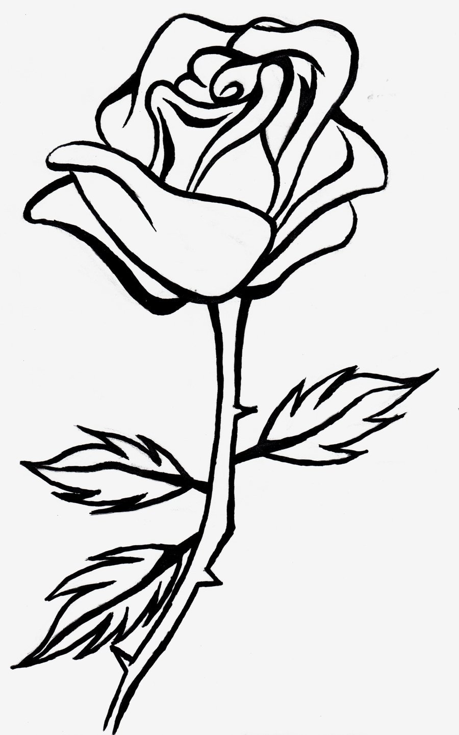 Роза для рисования