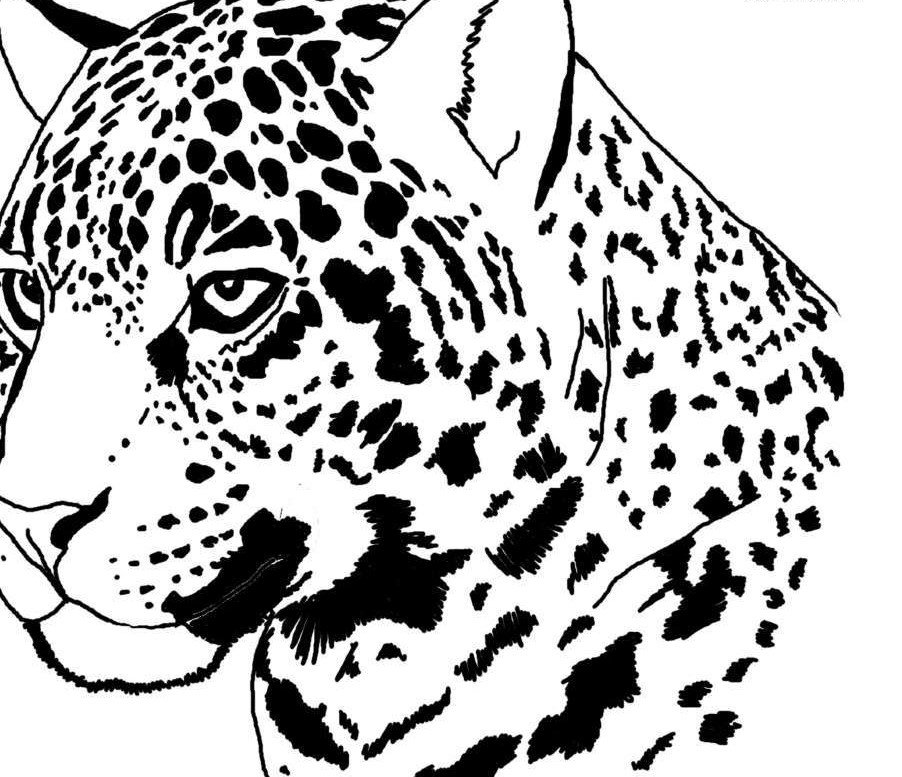 Трафарет леопарда для рисования