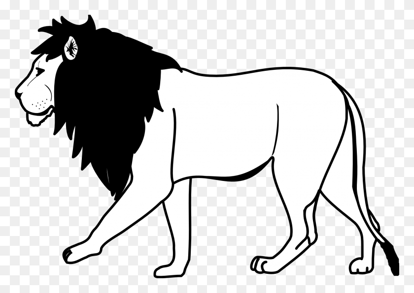 Лев черно белый