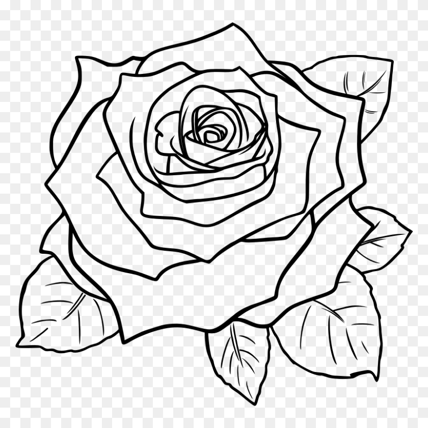 Бутон розы раскраска