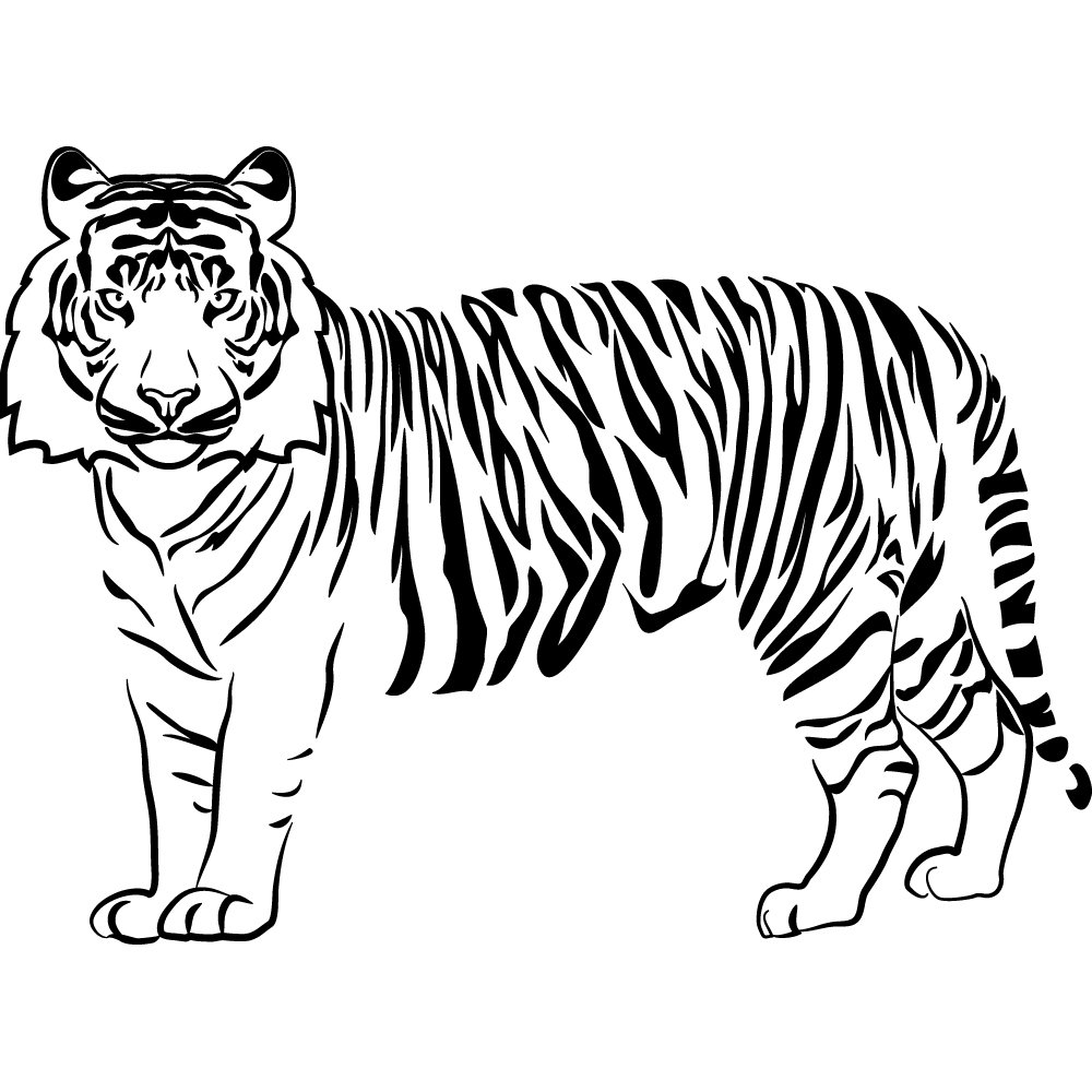 Тигр для копирования
