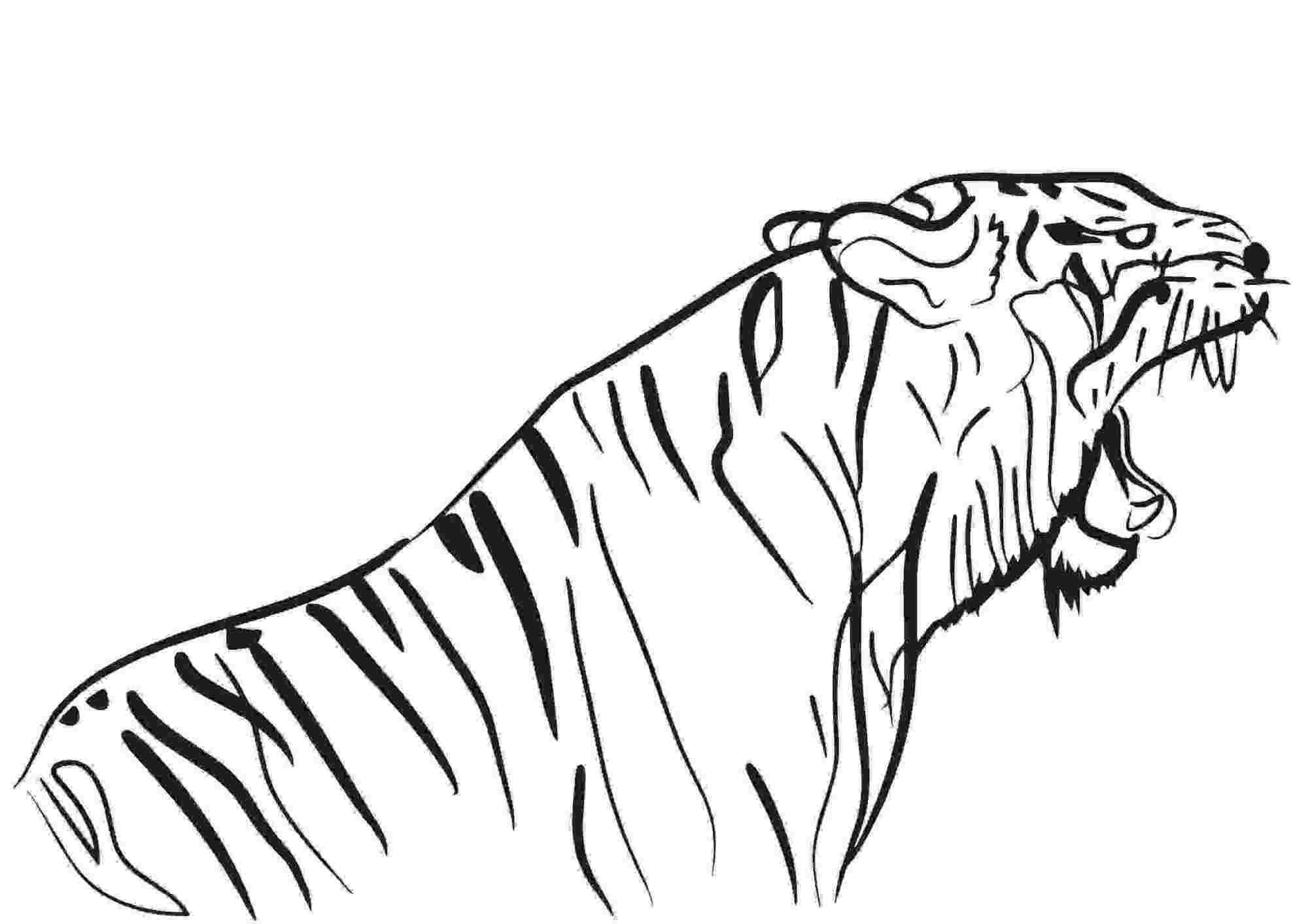 Раскраска Саблезубого тигра