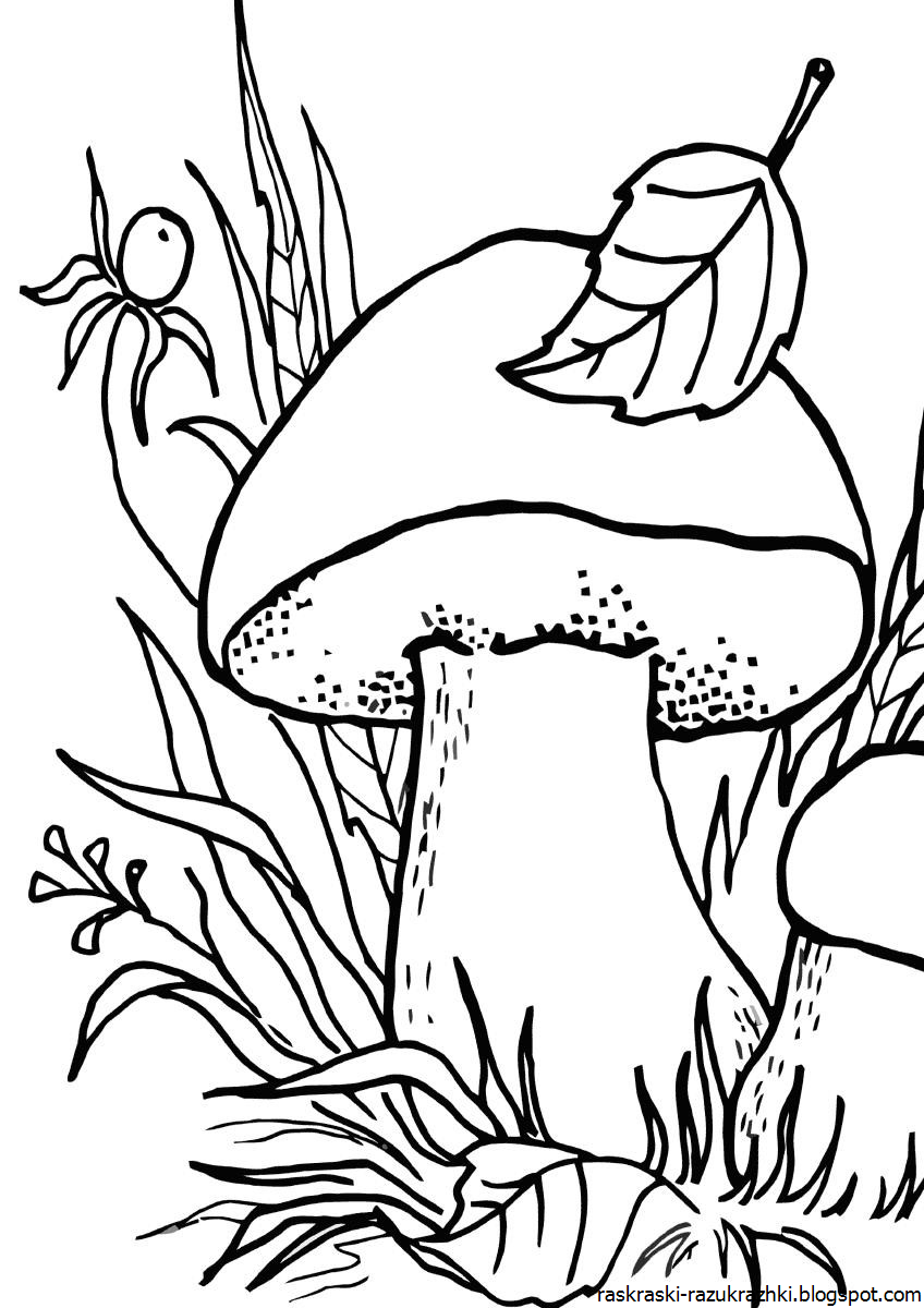 Раскраска гриб сыроежка