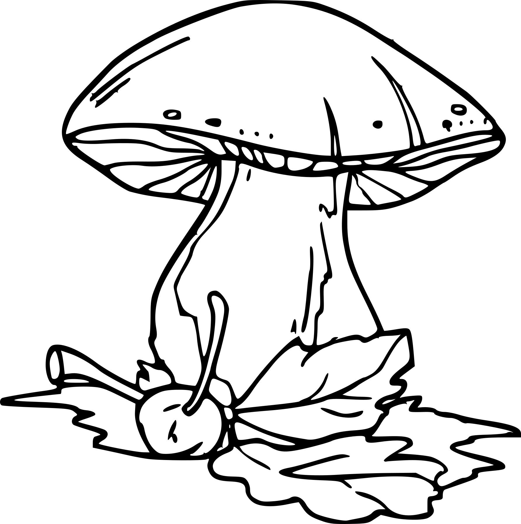 Сатанинский гриб гриб раскраска