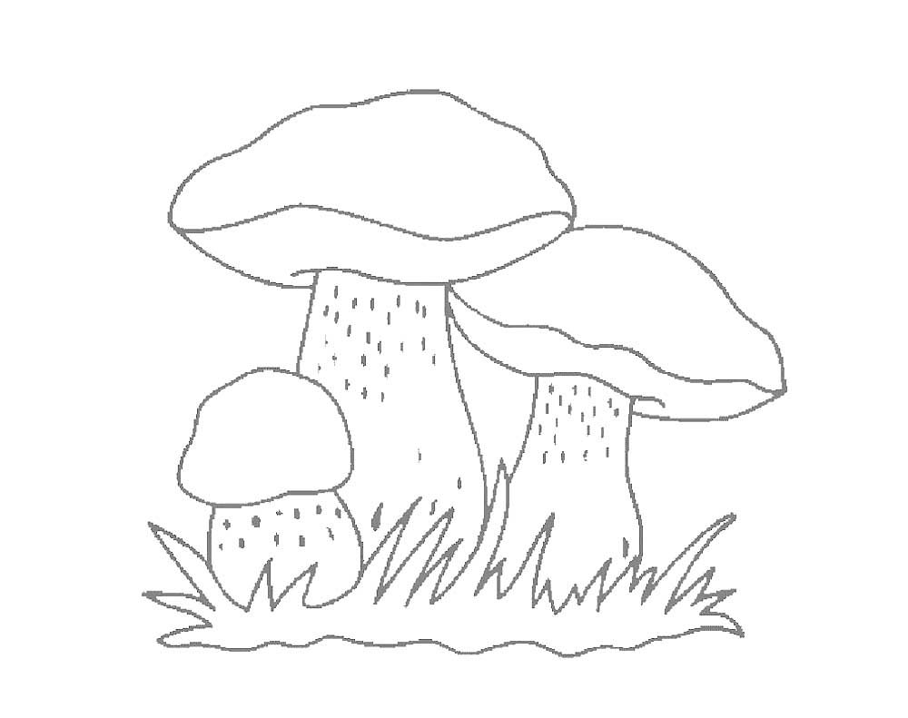 Трафареты грибов для рисования