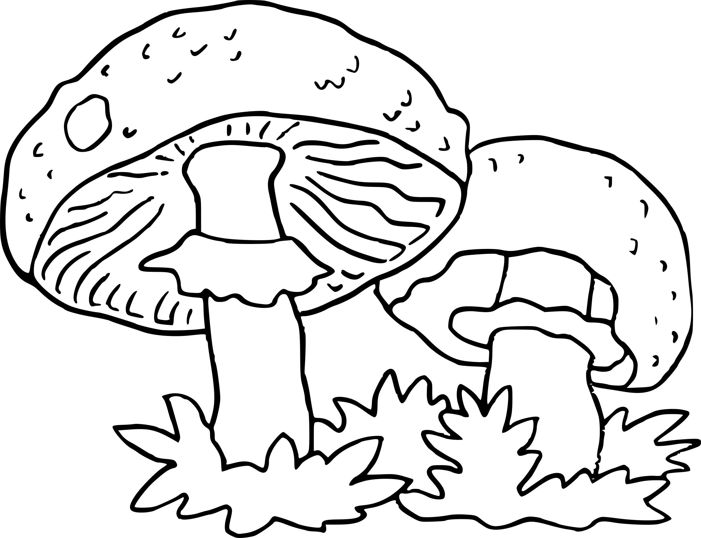 Раскраска грибы в лесу для детей