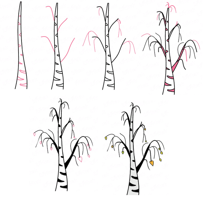 Рисование деревьев в подготовительной группе. Береза рисунок. Рисование березы. Поэтапное рисование березы. Этапы рисования дерева для детей.