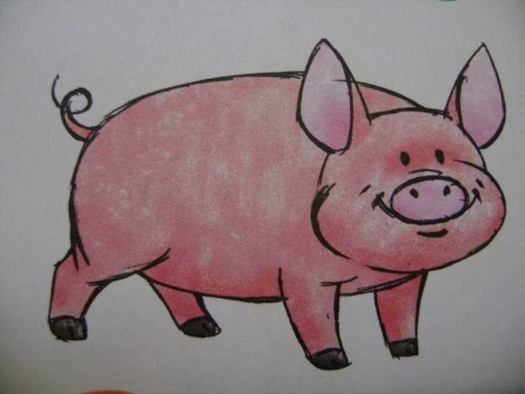 Рисование свинья