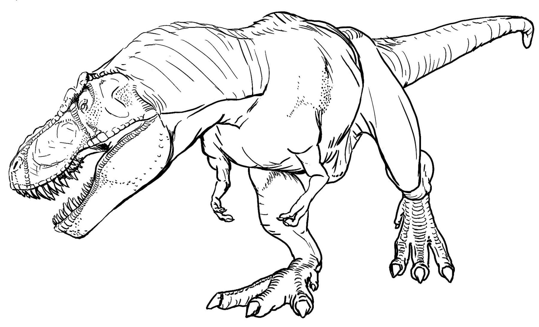 Динозавр Тираннозавр рекс раскраска