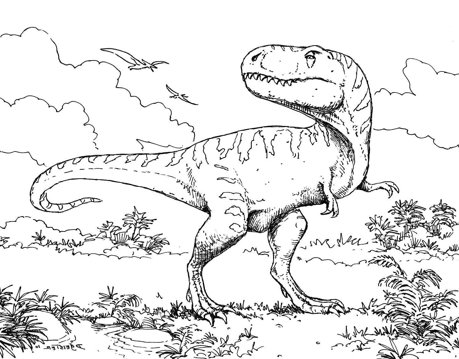 Барионикс динозавр раскраска
