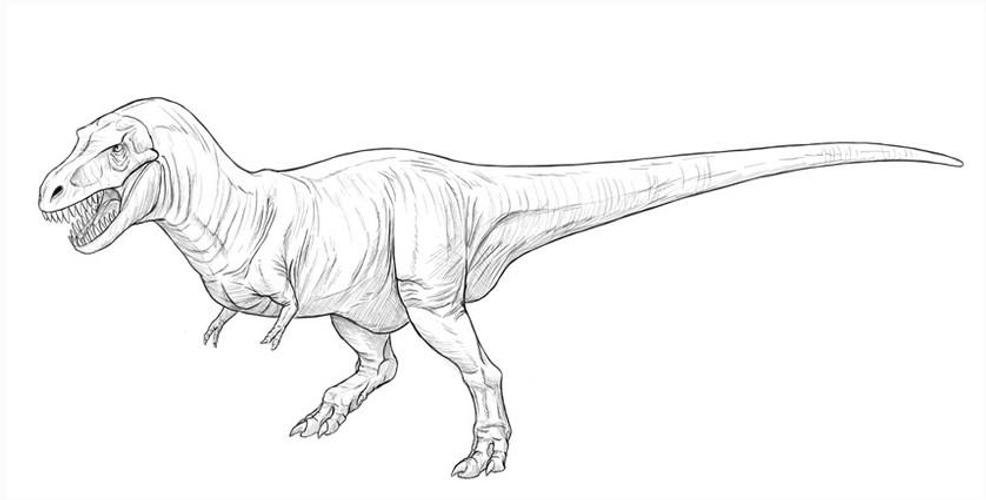 Тираннозавр рекс для рисования