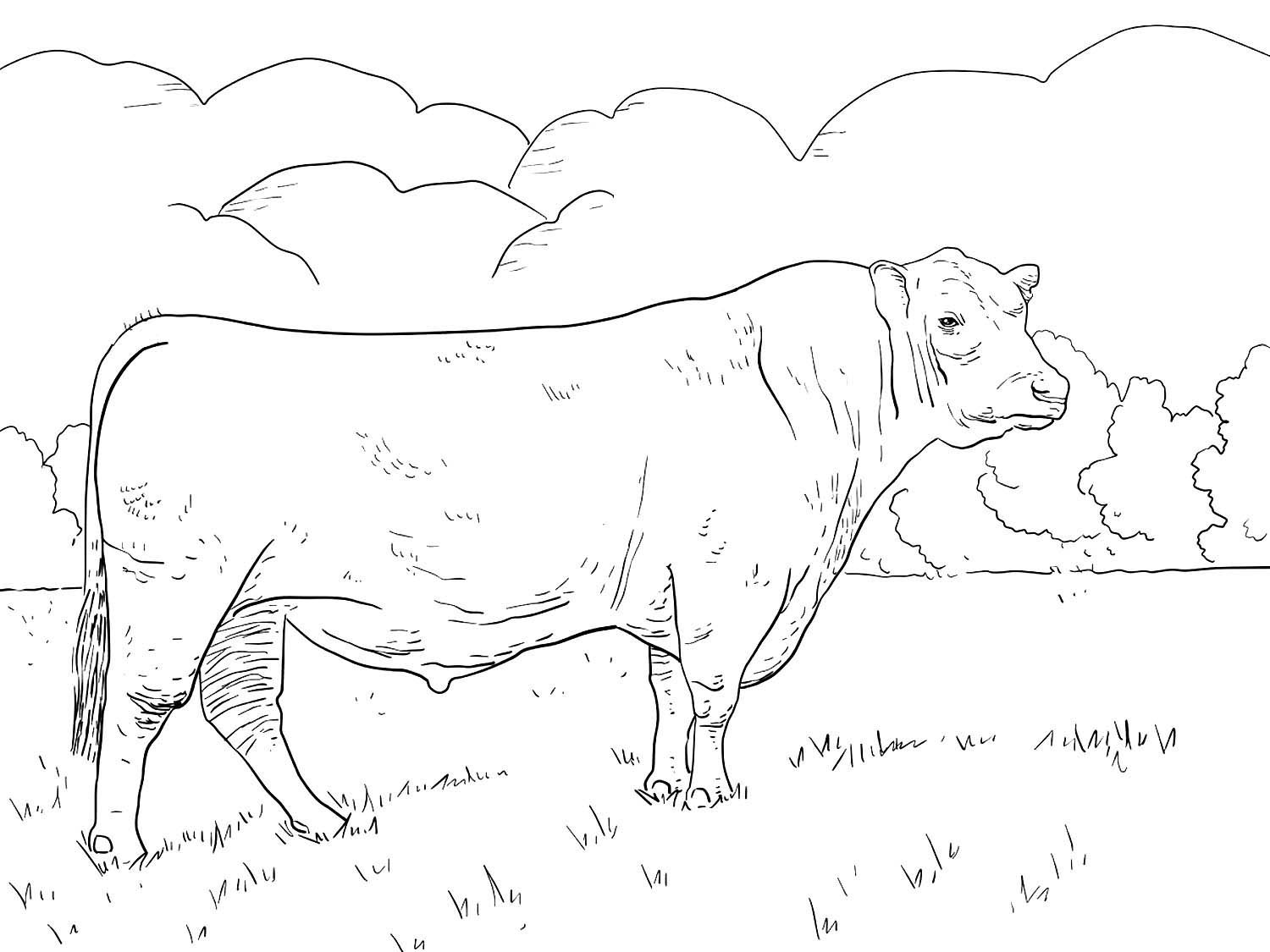 Корова Мурка и теленок Гаврюша