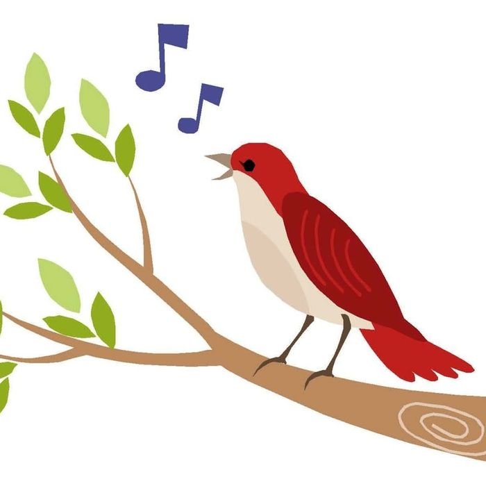 Птицы поют для детей