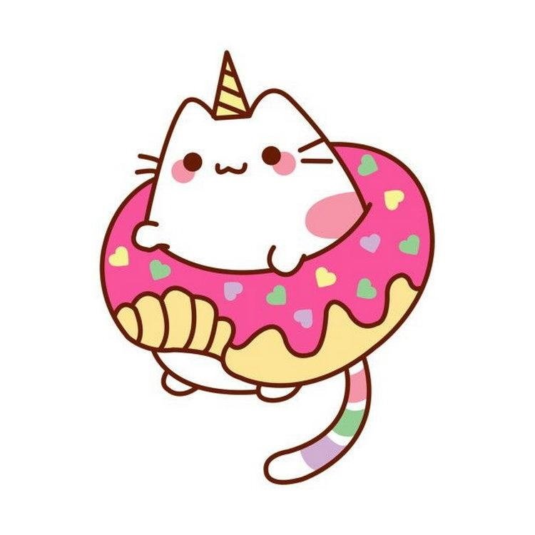 Кот пончик