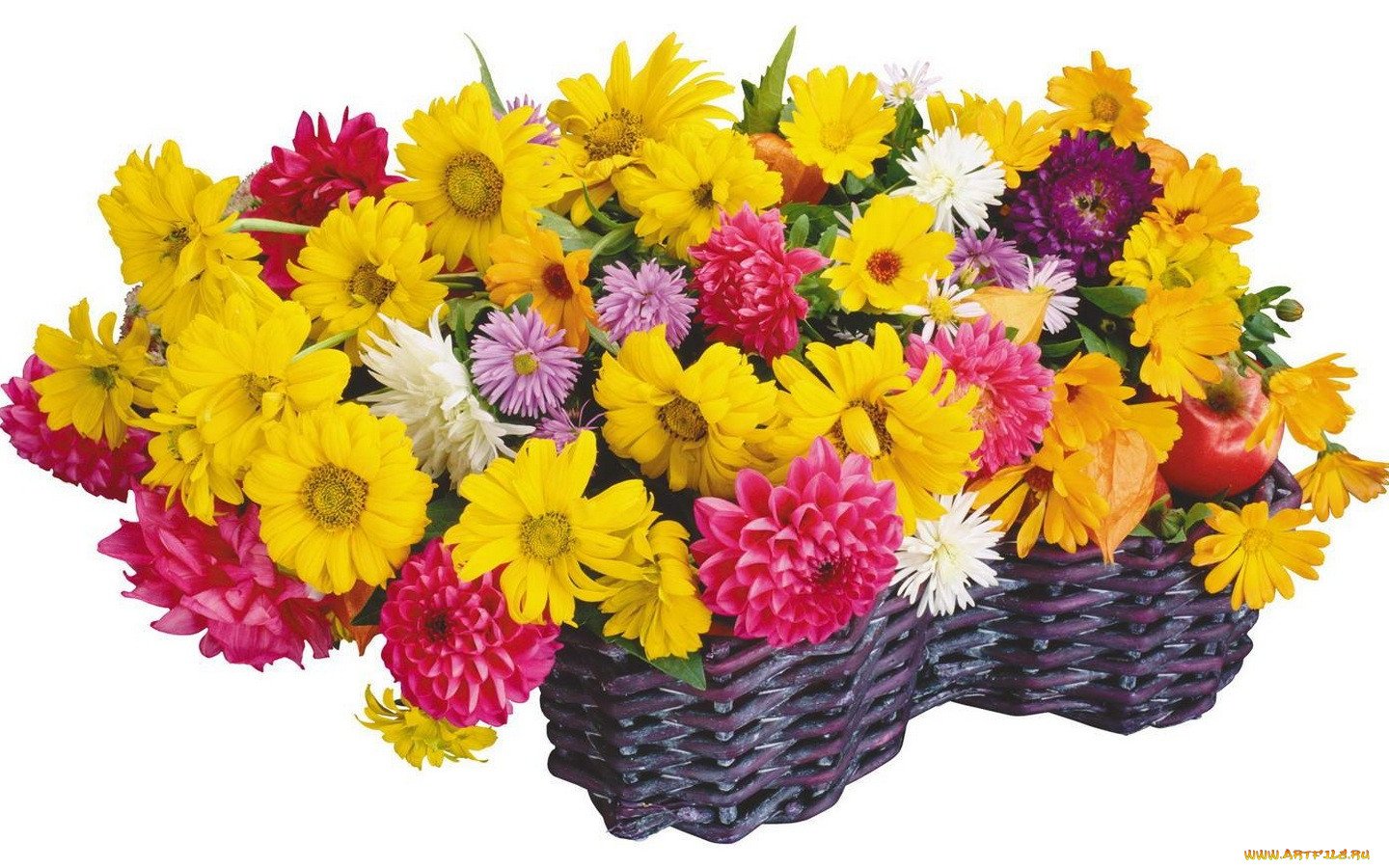 Поздравление хризантемы. Букет "день рождения". Открытка "букет". Открытки цветы красивые букеты. Поздравления с днем рождения цветы.