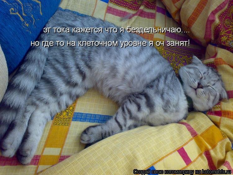 День ничегонеделания картинки (63 фото) скачать бесплатно