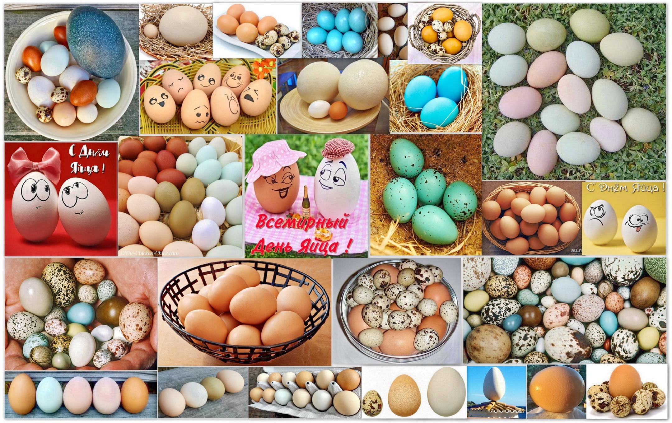 Всемирный день яйца 2021