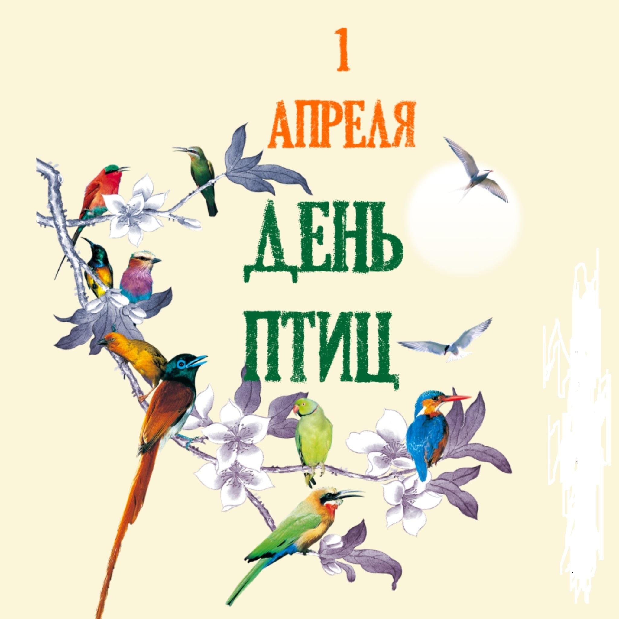1 Апреля Международный день птиц