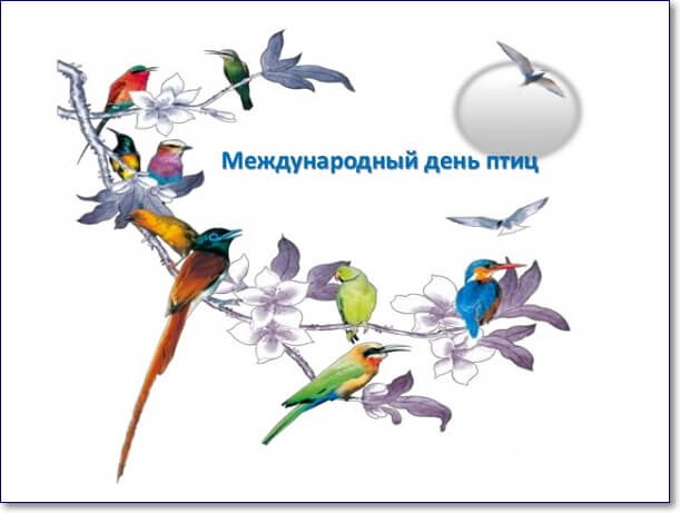 Международный день птиц плакат