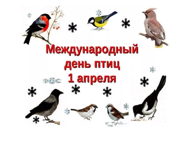 1 Апреля Международный день птиц логотип