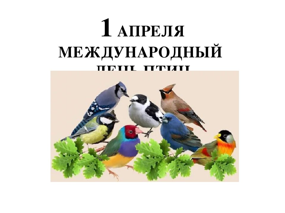 Всемирный день птиц рисунок