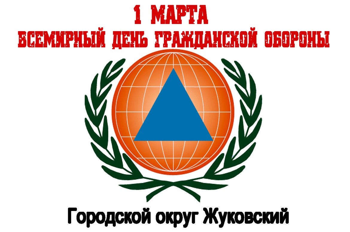 Международная организация гражданской обороны (мого)