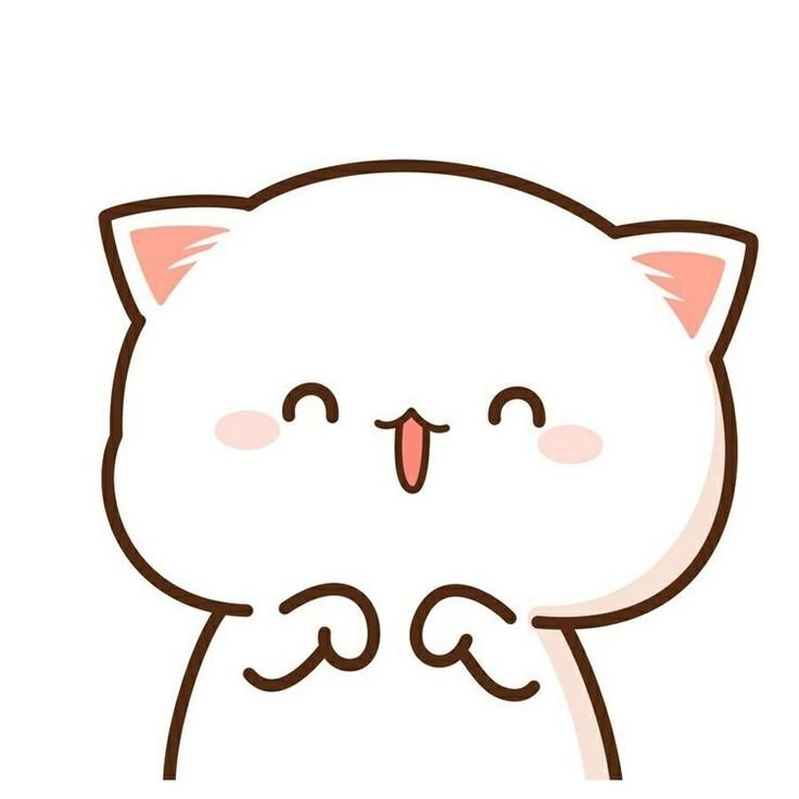 64 64