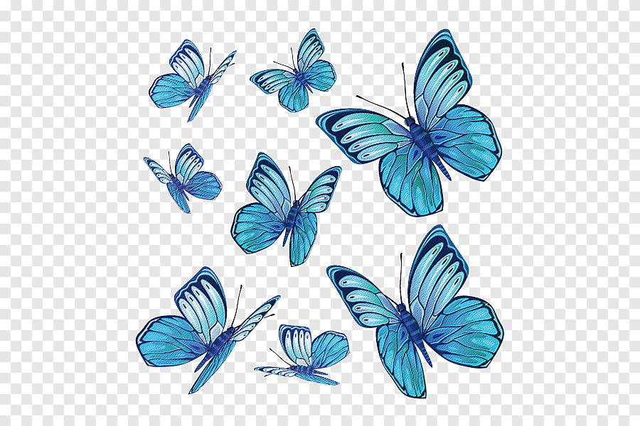 Бабочка голубая вектор