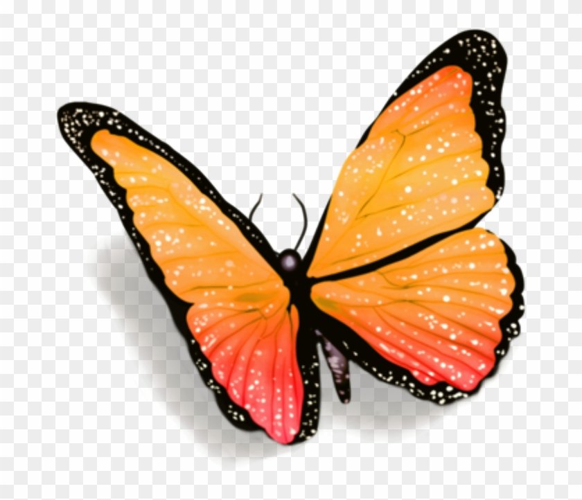 Стикер бабочка на прозрачном фоне