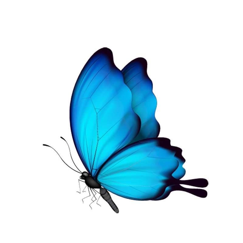 Синие бабочки на белом фоне