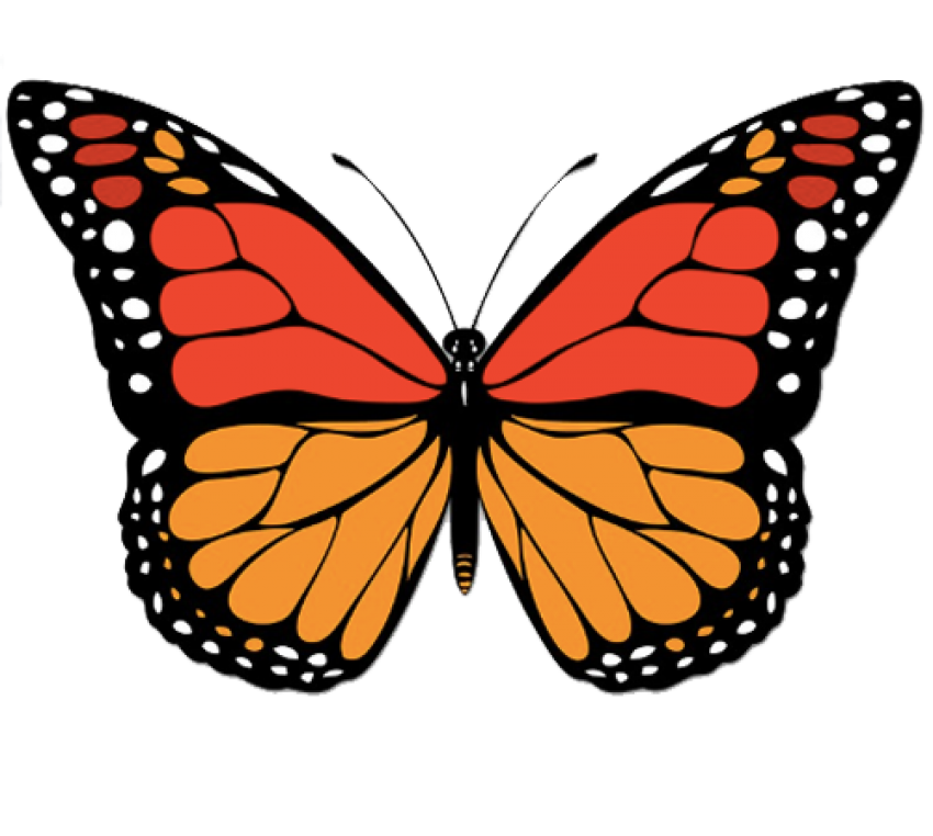 Оранжевая бабочка аниме